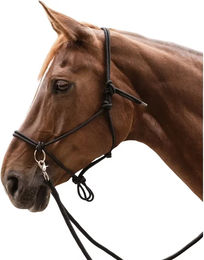 Waldhausen Knotenhalfter mit Zügel für Warmblut in Schwarz – Bild 1 von 4