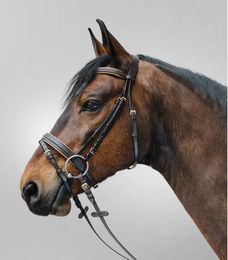 Produktbild von Waldhausen Kombinierte Nasenriemenreithalfter Star Diamond aus Leder für Ponys in Braun oder Schwarz