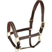 Produktbild von Waldhausen Lederhalfter Crystal für Ponys in Braun oder Schwarz