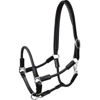 Produktbild von Waldhausen Lederhalfter Nevada für Ponys in Schwarz/Silber