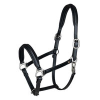 Produktbild von Waldhausen Lederhalfter S-Line Classy für Warmblut in Schwarz