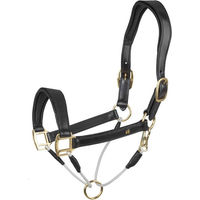 Produktbild von Waldhausen Lederhalfter S-Line Royal für Vollblut in Schwarz mit Gold