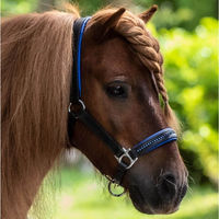 Produktbild von Waldhausen Lederhalfter Star Diamond Blau für Warmblut Pferdehalfter