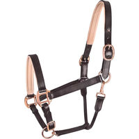 Produktbild von Waldhausen Lederhalfter X-Line für Pferde in Rosa und Braun