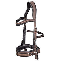 Produktbild von Waldhausen Lederkappzaum Anatomic braun XWB