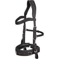 Produktbild von Waldhausen Lederkappzaum Anatomic Schwarz für Warmblut
