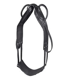 Waldhausen Longier- und Voltigiergurt aus Leder für Warmblut in Schwarz – Bild 1 von 2