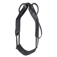 Produktbild von Waldhausen Longier- und Voltigiergurt aus Leder für Warmblut in Schwarz