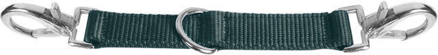 Waldhausen Longierbrille aus Leder in Grün 25 cm – Bild 1 von 2