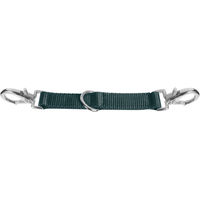 Produktbild von Waldhausen Longierbrille aus Leder in Grün 25 cm