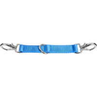 Produktbild von Waldhausen Longierbrille aus Nylon in Azurblau 25 cm