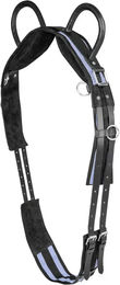 Produktbild von Waldhausen Longiergurt aus Leder für Ponys mit zwei Griffen in Schwarz oder Grau