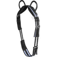 Produktbild von Waldhausen Longiergurt aus Leder für Ponys mit zwei Griffen in Schwarz oder Grau