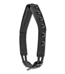 Waldhausen Longiergurt aus Leder für Warmblut in Schwarz – Bild 1 von 2