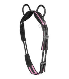 Waldhausen Longiergurt für Shetty mit zwei Handgriffen in Schwarz/Rosa – Bild 1 von 3