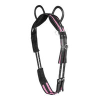 Produktbild von Waldhausen Longiergurt für Shetty mit zwei Handgriffen in Schwarz/Rosa