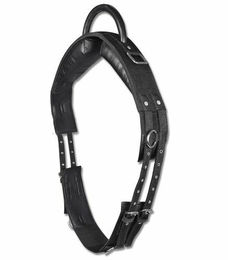Produktbild von Waldhausen Longiergurt mit Handgriff für Shettys aus Kunstleder Schwarz mit 6 Ringen