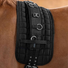 Waldhausen Longiergurtunterlage für Warmblut aus Polyester in Schwarz – Bild 1 von 7