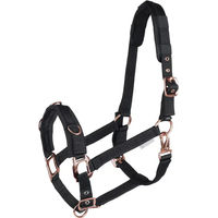 Produktbild von Waldhausen Longierhalfter für Warmblut in Schwarz und Rosé aus Nylon