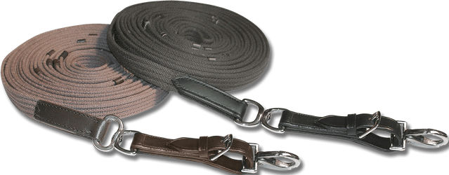 Waldhausen Longierleine Gurtband Star Braun aus Polypropylen und Polyester – Bild 1 von 1