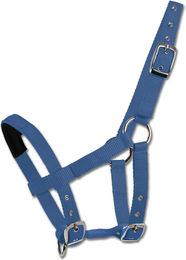 Waldhausen Mini-Shetty Halfter aus Nylon in Blau – Bild 1 von 2