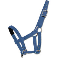 Produktbild von Waldhausen Mini-Shetty Halfter aus Nylon in Blau