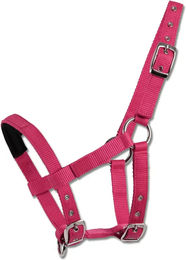 Waldhausen Mini-Shetty Halfter aus Nylon in Rosa – Bild 1 von 2