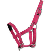 Produktbild von Waldhausen Mini-Shetty Halfter aus Nylon in Rosa