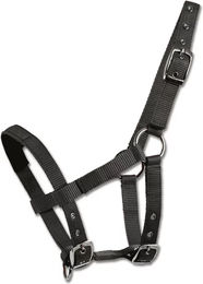 Waldhausen Mini-Shetty Halfter aus Nylon in Schwarz – Bild 1 von 2