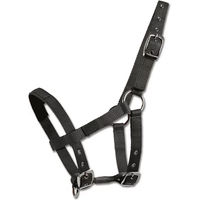 Produktbild von Waldhausen Mini-Shetty Halfter aus Nylon in Schwarz