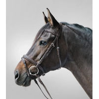 Produktbild von Waldhausen Minishetty Trensenzaum Star Lifestyle aus Leder in Braun/Braun