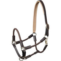 Produktbild von Waldhausen Nevada Pferd Halfter aus Leder in Braun mit Goldbeschlag