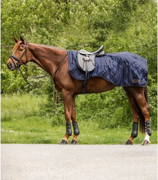 Waldhausen Nierendecke Exclusive für Ponys in Blau - 50 g – Bild 1 von 4