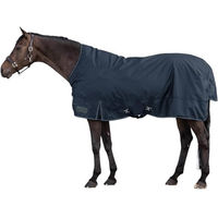 Produktbild von Waldhausen Nordic Weidedecke für Pferde High Neck 100g Nachtblau 165 cm