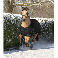 Produktbild von Waldhausen Outdoordecke Arctic für Pferde Schwarz 125 cm