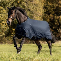 Produktbild von Waldhausen Outdoordecke Arctic Light Blau aus Polyester