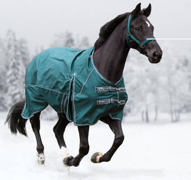 Waldhausen Outdoordecke Comfort 300g für Pferde, Nachtblau, 125 cm - 300 g – Bild 1 von 4