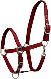 Waldhausen Perlonhalfter mit Satin in Bordeaux Grösse XWB – Bild 1 von 1