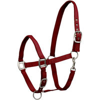 Produktbild von Waldhausen Perlonhalfter mit Satin in Bordeaux Grösse XWB