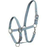 Produktbild von Waldhausen Perlonhalfter Satin Alpenblau für Shetty
