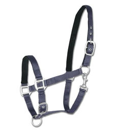 Waldhausen Perlonhalfter Satin Blau für Warmblut – Bild 1 von 4