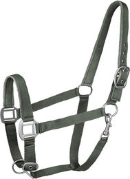 Waldhausen Perlonhalfter Satin Dunkeloliv für Vollblut – Bild 1 von 1