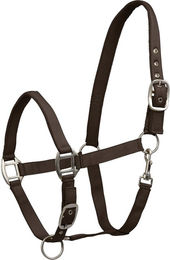 Waldhausen Perlonhalfter Satin Espresso Braun Grösse XWB – Bild 1 von 2