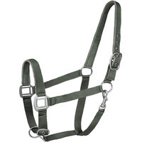 Produktbild von Waldhausen Perlonhalfter Satin für Shetty in Dunkeloliv