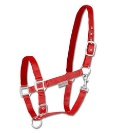 Waldhausen Perlonhalfter Satin für Pferde in Rot – Bild 1 von 2