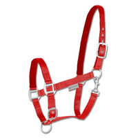 Produktbild von Waldhausen Perlonhalfter Satin für Pferde in Rot für Warmblut