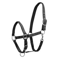 Produktbild von Waldhausen Perlonhalfter Satin für Pferde Schwarz Warmblut
