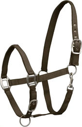 Waldhausen Perlonhalfter Satin für Ponys in Grünbraun – Bild 1 von 4