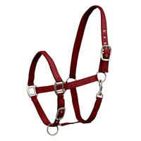 Produktbild von Waldhausen Perlonhalfter Satin für Shetty in Rot