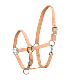 Waldhausen Perlonhalfter Satin für Vollblut in Pfirsich/Orange – Bild 1 von 2